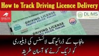 How to Track Driver License Delivery