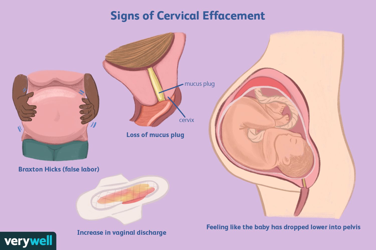 How to Track Cervical Mucus
