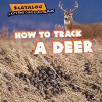 How to Track Deer