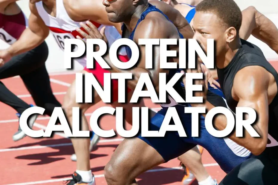 How to Track Protein Intake