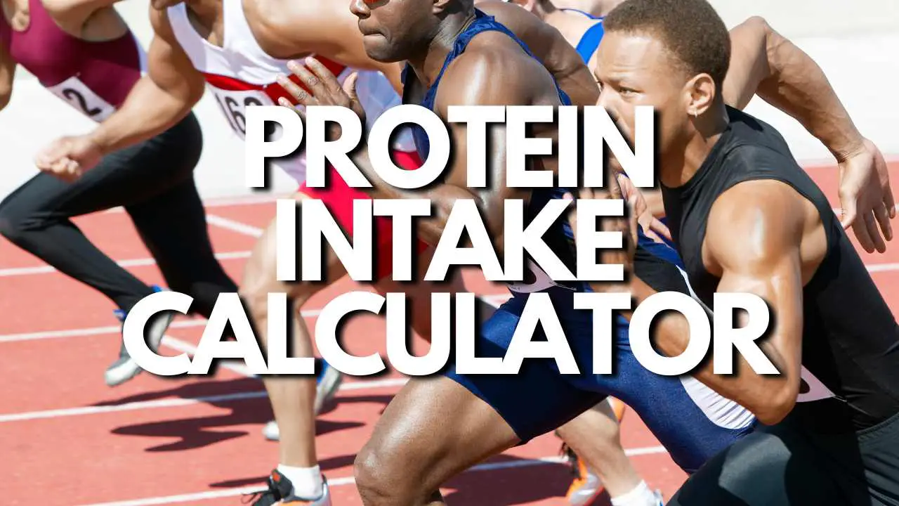 How to Track Protein Intake